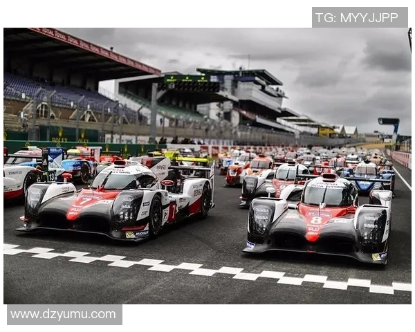 南京排球队耐力赛场表现评析与未来展望